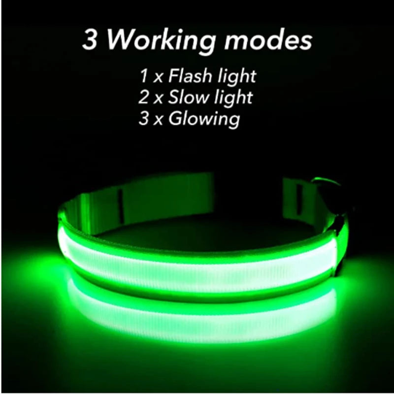Rechargeable LED Safety Dog Collar - detail view